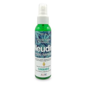 Tienda 10 HIELO MINERAL NEUDIN 120 ML ICOM