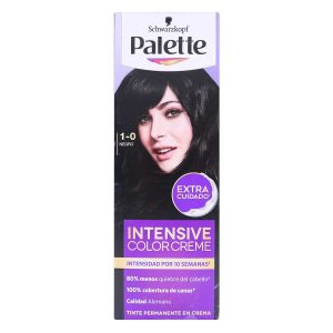 PALETTE COL.CRE TUBO 1-0 NEGRO GTS OXI